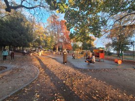 Service entretien jardin